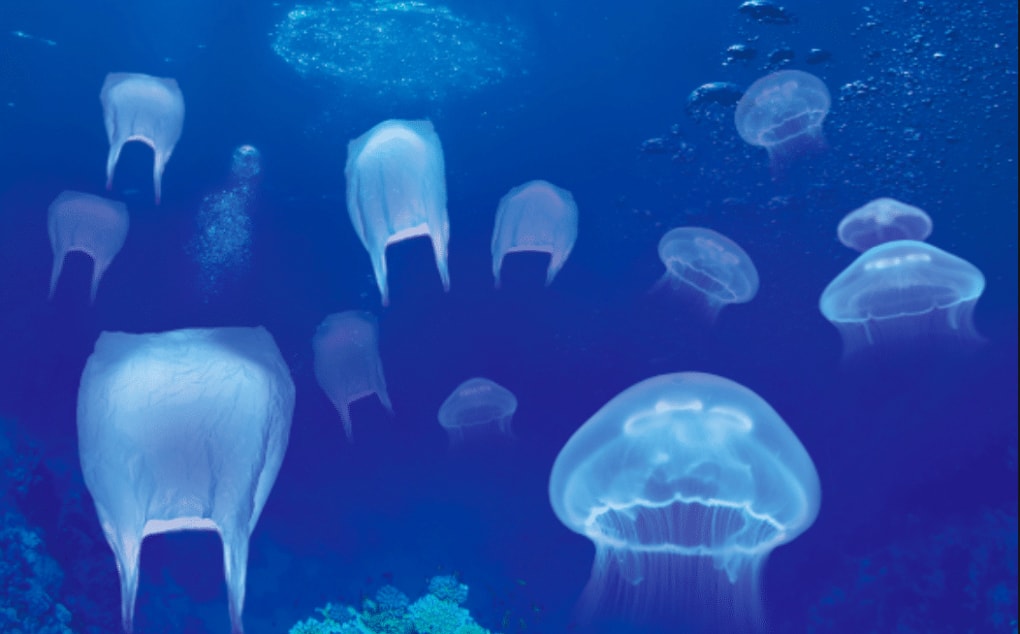 Stop plastic